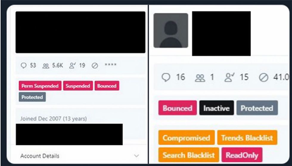 Twitter Profile Management Tool